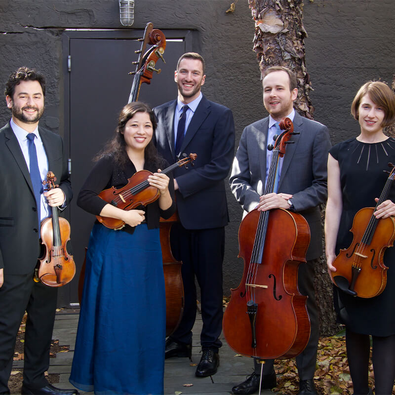 Toomai String Quintet