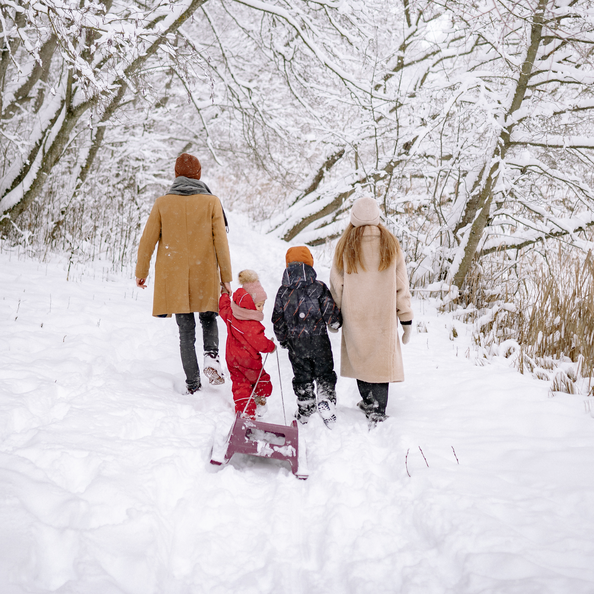 Free Family Concert—A Winter’s Tale