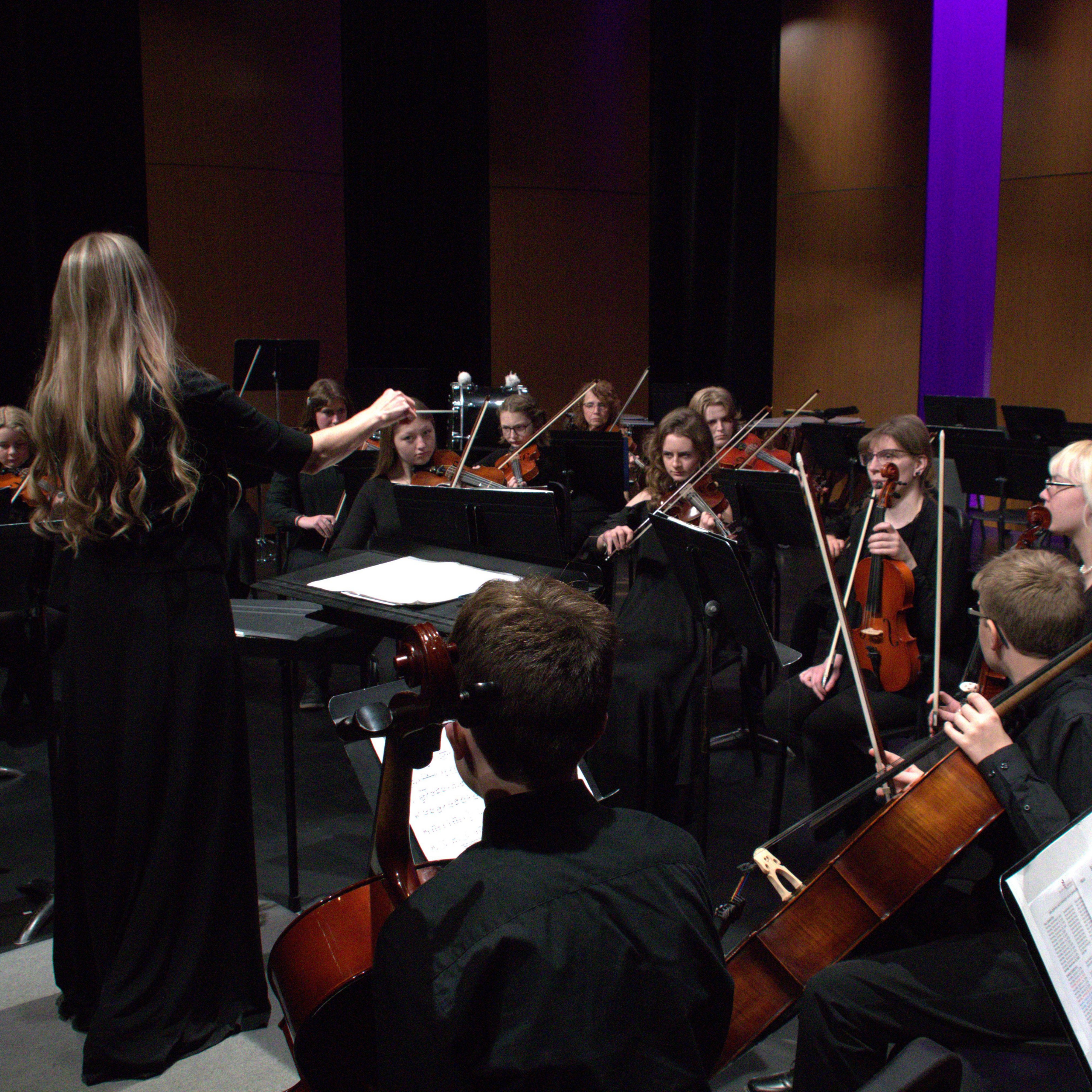 Billings Symphony Youth Orchestra Spring Concert